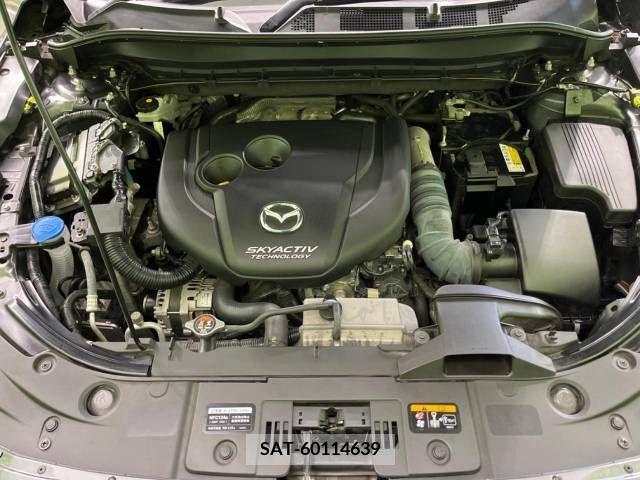 Mazda CX-8 2019-04 308570-18