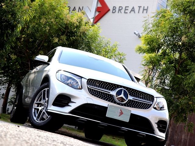 Mercedes Benz GLC-CLASS 2017-05 19223-3