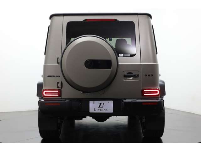 Amg G-CLASS 2021-09 27272-15