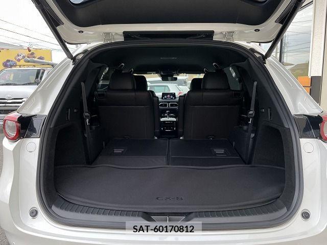 Mazda CX-8 2019-11 383435-26