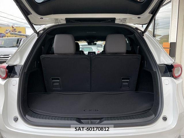 Mazda CX-8 2019-11 383435-25