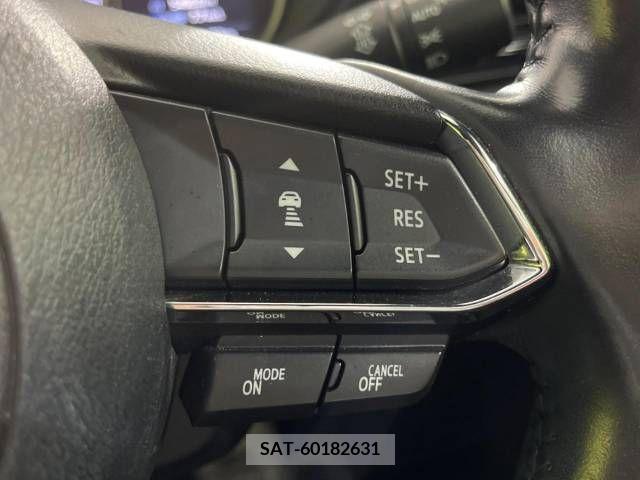 Mazda CX-8 2018-08 246264-5