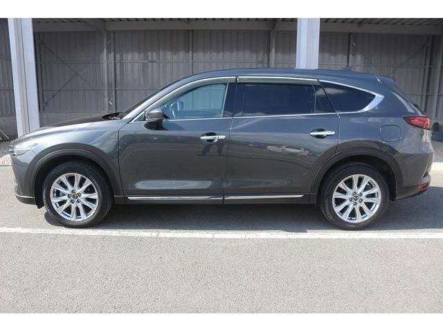 Mazda CX-8 2018-03 21454-4