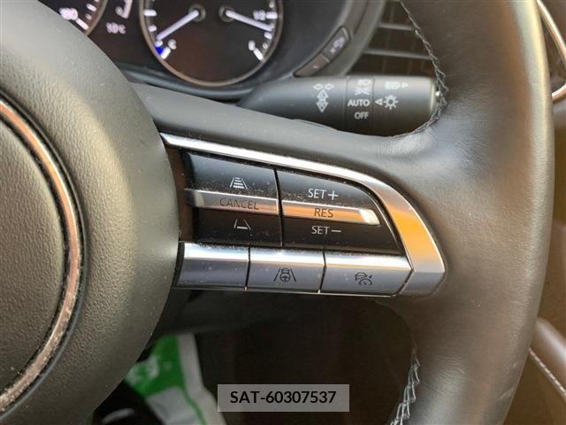 Mazda CX-30 2020-01 223876-11