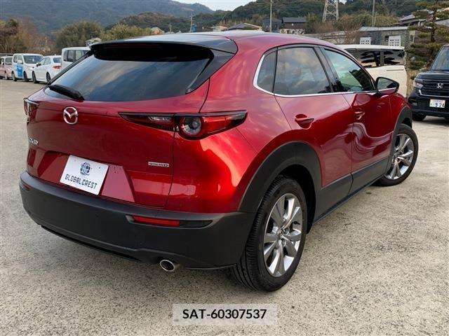 Mazda CX-30 2020-01 223876-5