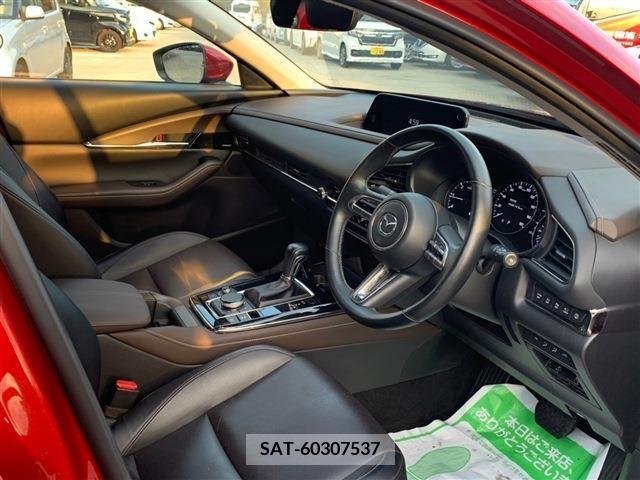 Mazda CX-30 2020-01 223876-3
