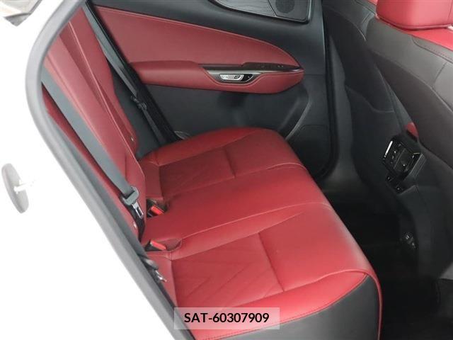 Lexus NX 2023-05 275605-13