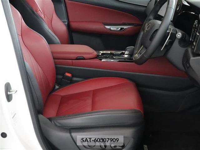 Lexus NX 2023-05 275605-12