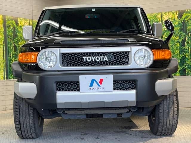 Toyota FJ CRUISER 2013-04 195964-14