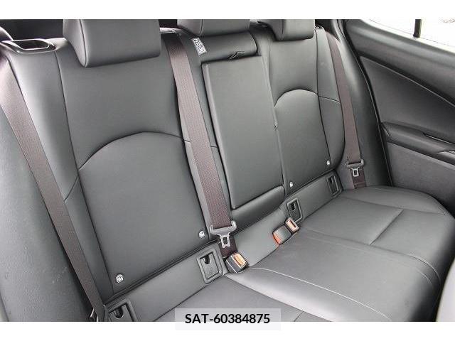 Lexus UX 2018-12 216959-13
