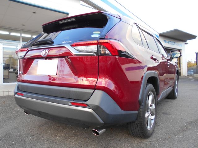 Toyota RAV4 2020-03 196107-3