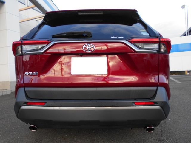 Toyota RAV4 2020-03 196107-7