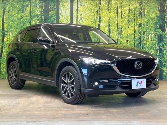 Mazda CX-5 2017-05 195430-17