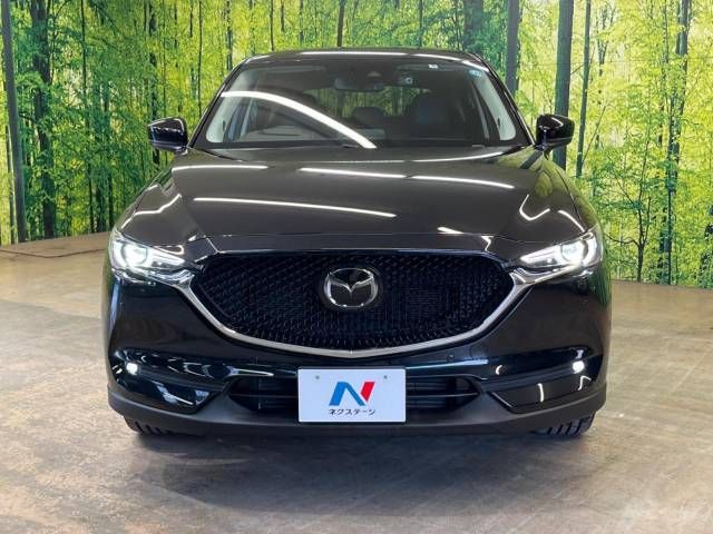 Mazda CX-5 2017-05 195430-15
