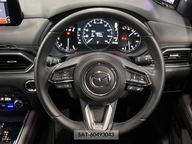 Mazda CX-8 2019-08 390278-14
