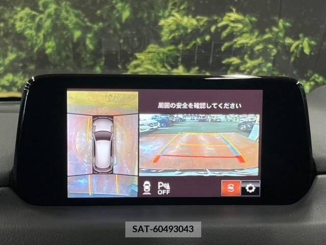 Mazda CX-8 2019-08 390278-4