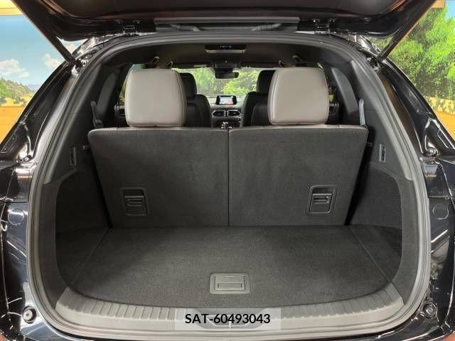 Mazda CX-8 2019-08 390278-11