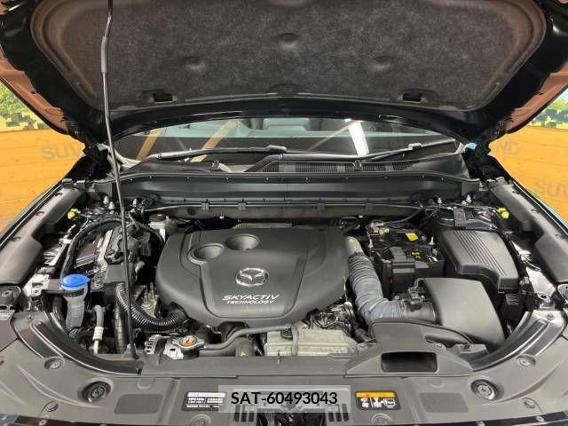 Mazda CX-8 2019-08 390278-19