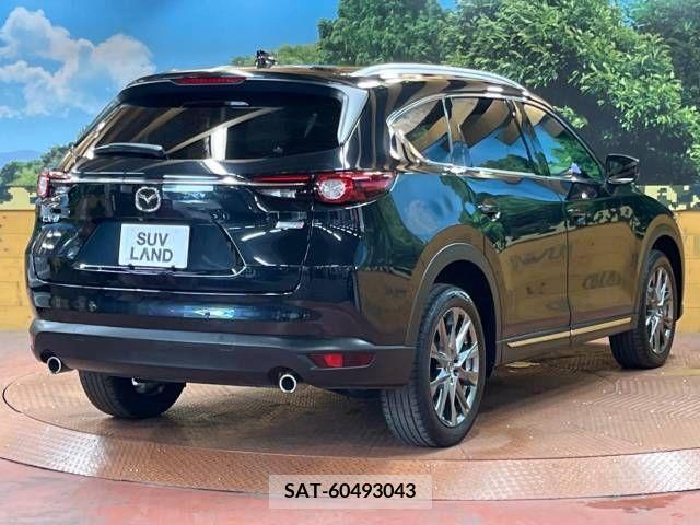 Mazda CX-8 2019-08 390278-18
