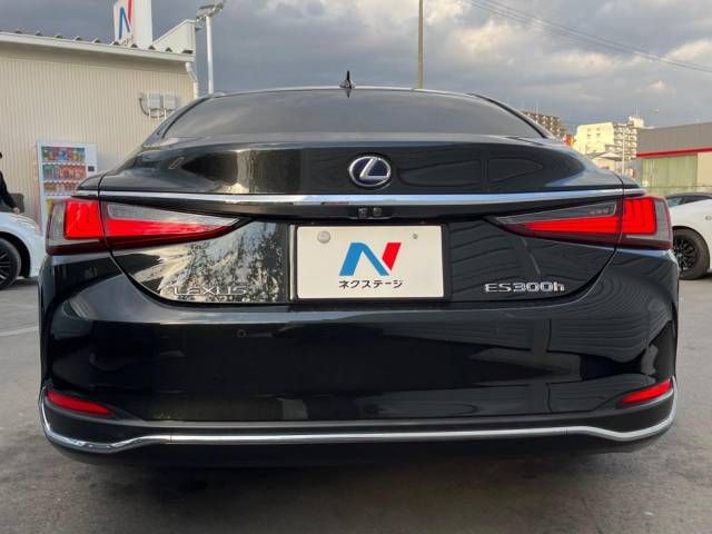 Lexus ES 2019-07 193428-15