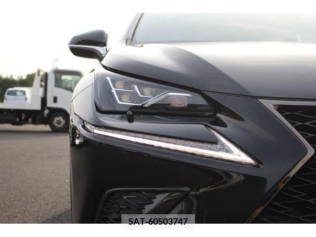 Lexus NX 2018-02 275611-11