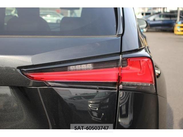 Lexus NX 2018-02 275611-12