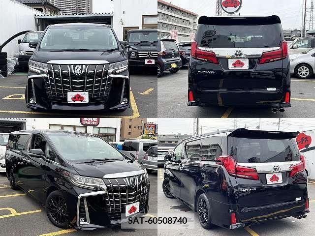 Toyota ALPHARD 2020-12 299504-8