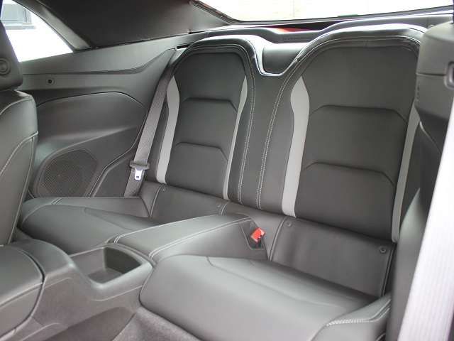 Chevrolet CAMARO 2021-06 19591-11