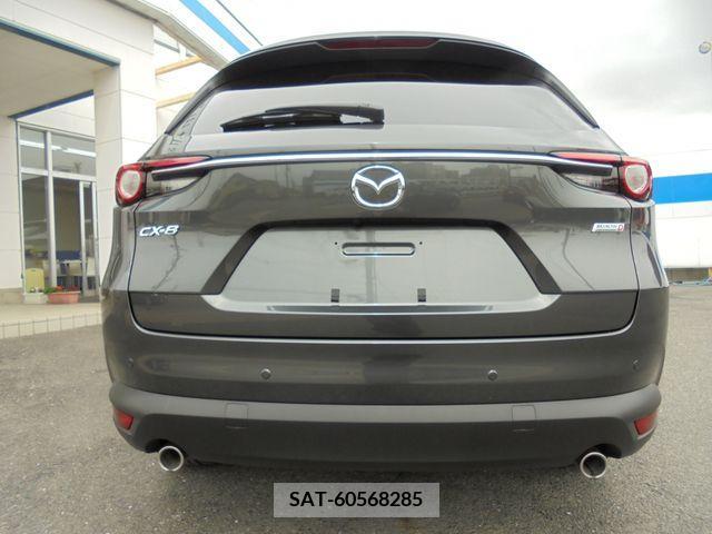 Mazda CX-8 2018-01 266202-9