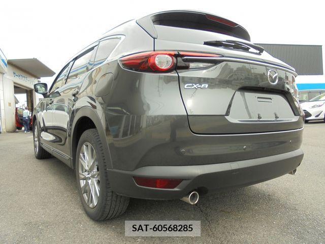 Mazda CX-8 2018-01 266202-2