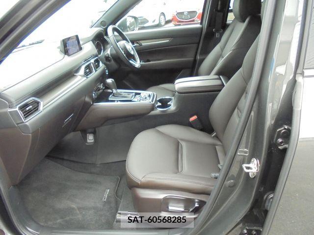 Mazda CX-8 2018-01 266202-12
