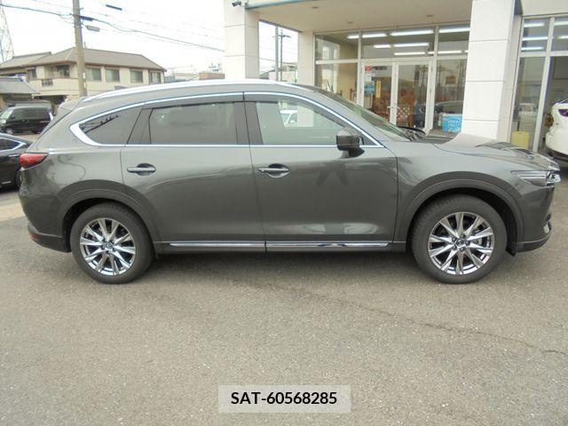 Mazda CX-8 2018-01 266202-7