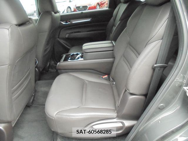 Mazda CX-8 2018-01 266202-13