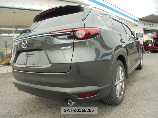 Mazda CX-8 2018-01 266202-3