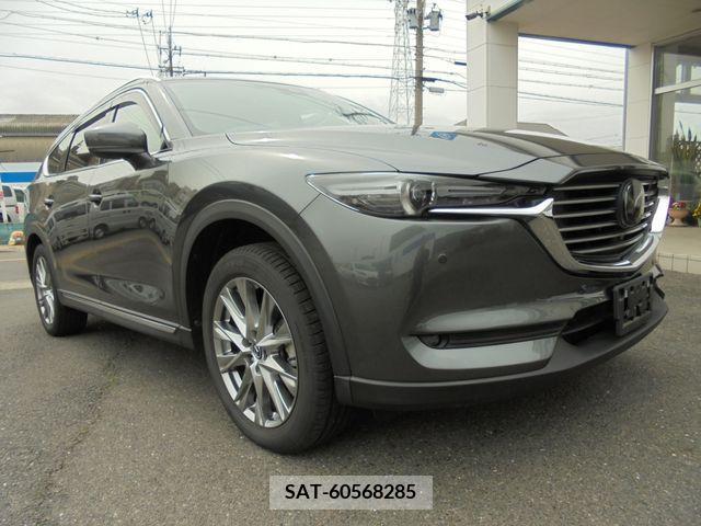 Mazda CX-8 2018-01 266202-5