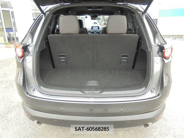 Mazda CX-8 2018-01 266202-16