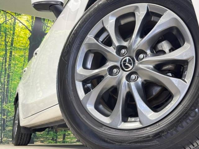 Mazda DEMIO 2017-02 24073-13