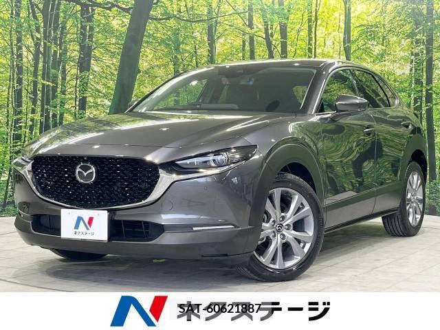 Mazda CX-30 2020-11 302083-0