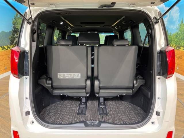 Toyota ALPHARD 2021-01 184999-11