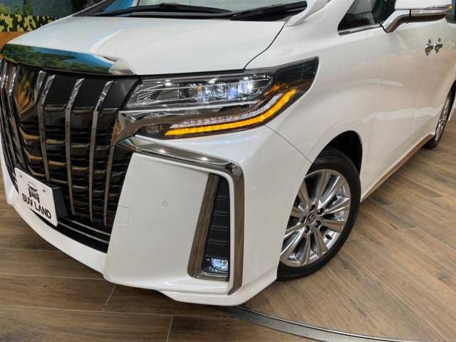 Toyota ALPHARD 2021-01 184999-13