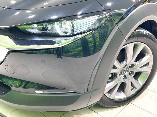 Mazda CX-30 2023-03 184415-12