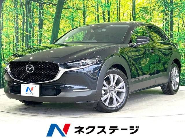 Mazda CX-30 2023-03 184415-0