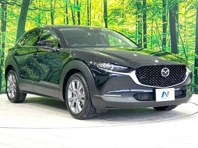Mazda CX-30 2023-03 184415-16