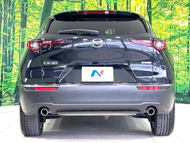 Mazda CX-30 2023-03 184415-15