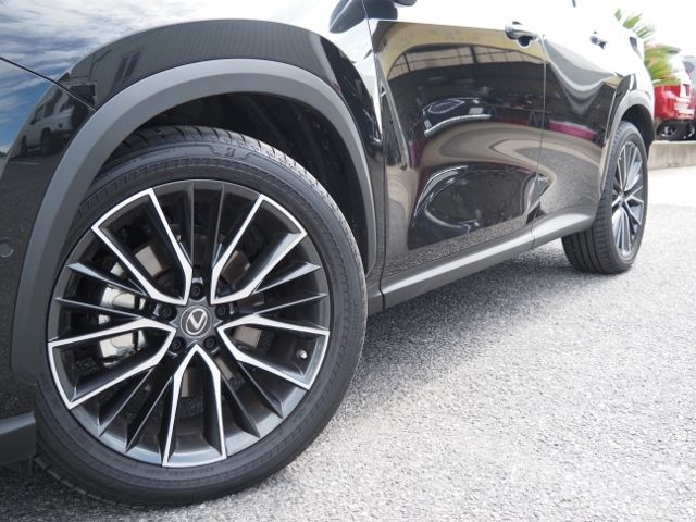 Lexus NX 2023-02 14876-7
