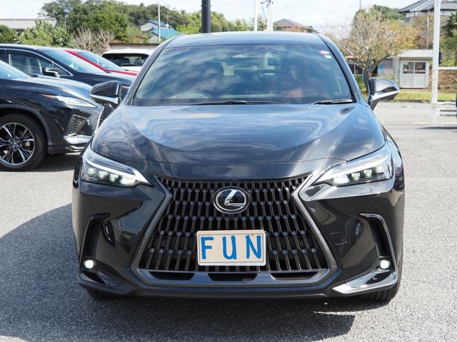 Lexus NX 2023-02 14876-1