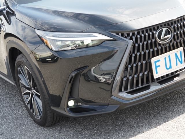 Lexus NX 2023-02 14876-8