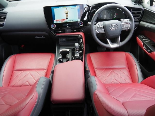 Lexus NX 2023-02 14876-9