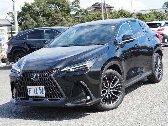 Lexus NX 2023-02 14876-3