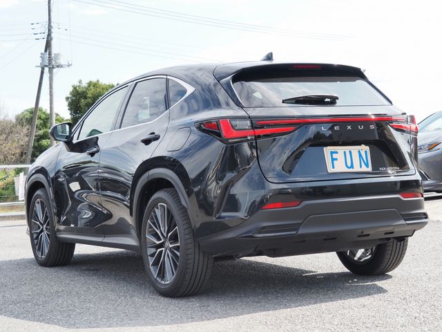 Lexus NX 2023-02 14876-5